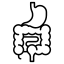digestif digestion